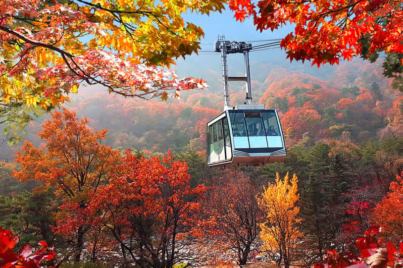 Mt Seorak(Cablecar Option)+ Sokcho Beach&Market+ Observatory - Itinerary Details