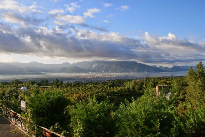 Mt. Vesuvius Wine Tasting and Lunch Experience From Pompeii - Pickup and Meeting Details