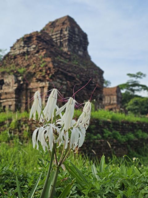 My Son Sanctuary Morning/Afternoon With Boat Trip and Banhmi - Itinerary Highlights