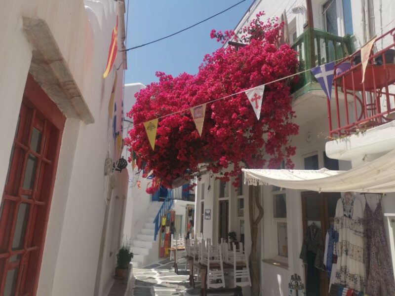 Mykonos: Private Tour With Range Rover - Customizable Itinerary Options