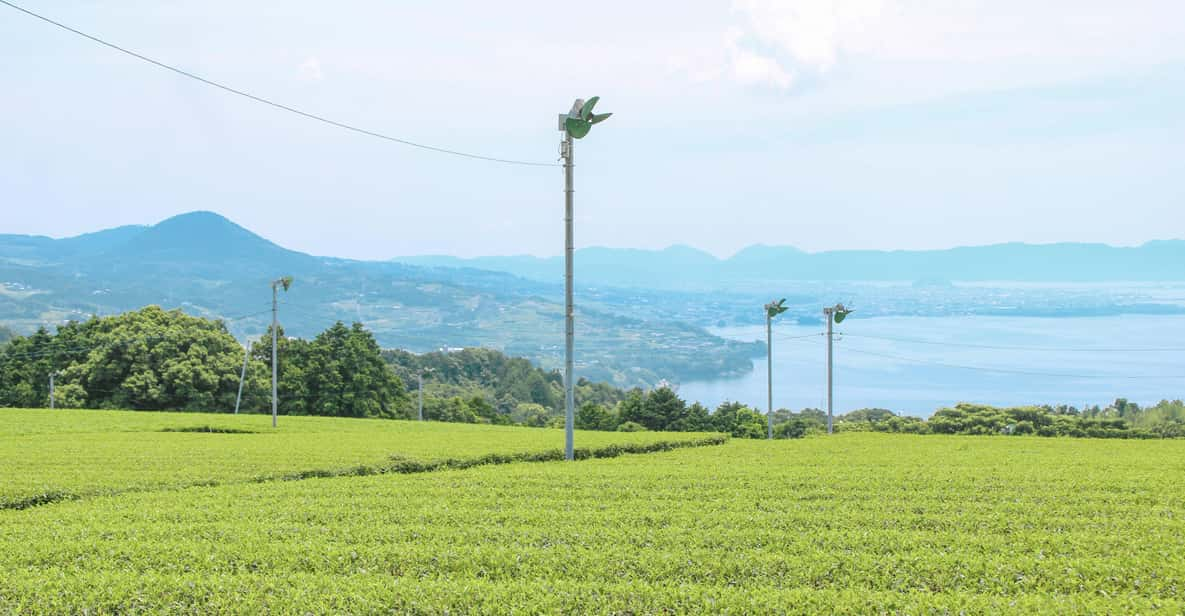 Nagasaki: Explore Japanese Teas on a Tea Tour - Cultural Significance