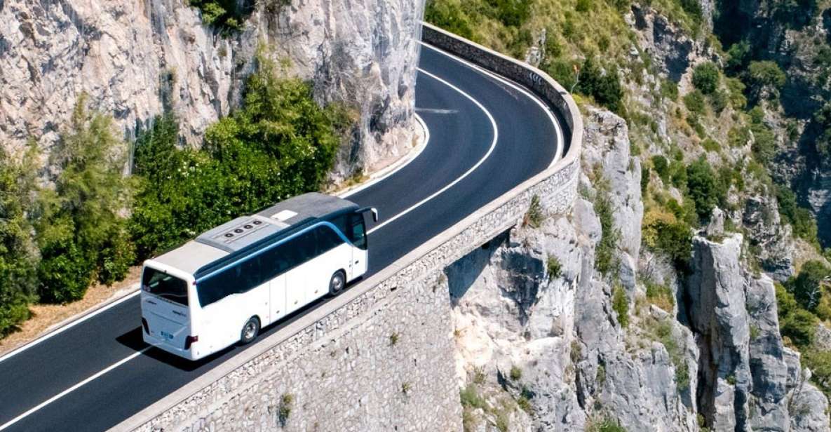 Naples Airport: 1-Way Shuttle to Sorrento Coast and Naples - Booking Your Shuttle