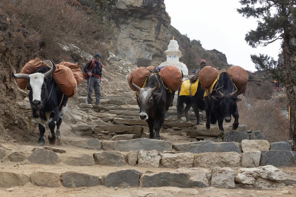 Nar Phu Valley Trek 9 Night 10 Days - Detailed Itinerary