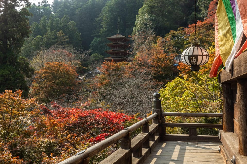 Nara Day Tour From Osaka - Pricing and Duration