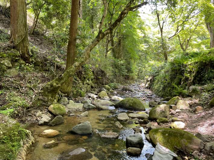 Nara: Discover Countryside– Landscape and Mysterious History - Unique Cultural Experiences