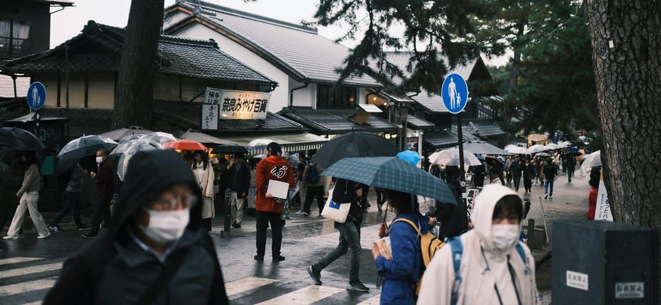 Nara Heritage Walkabout From Nara Park to Todaji-Ji Temple - Inclusions