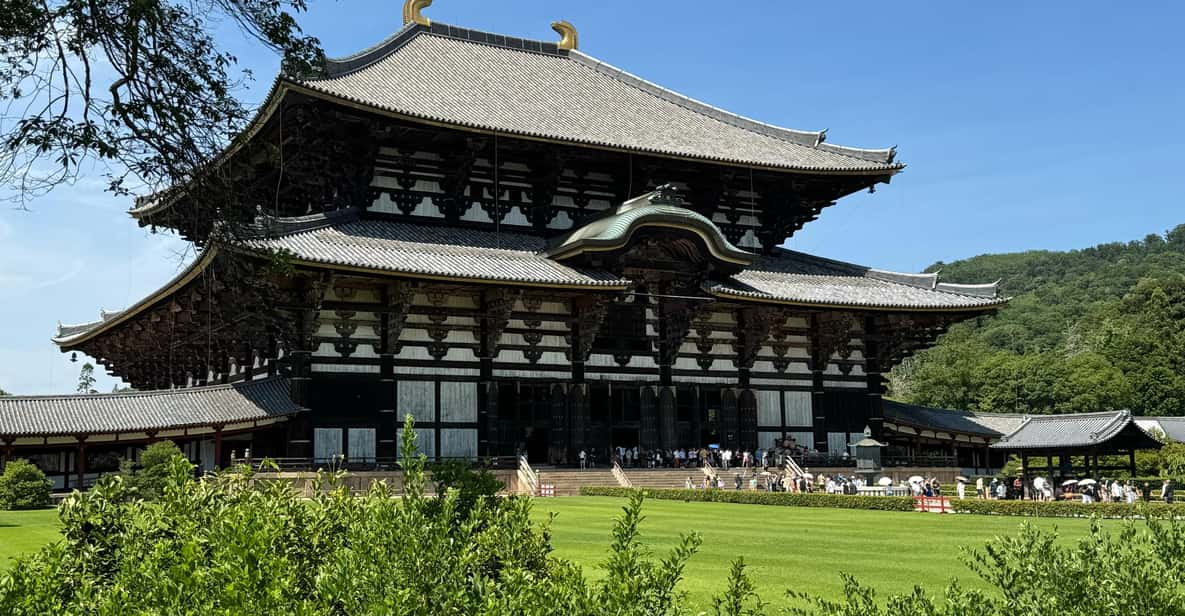 Nara: Highlights of Nara in 3 Hours - Guided Tour - Discovering Nara Park