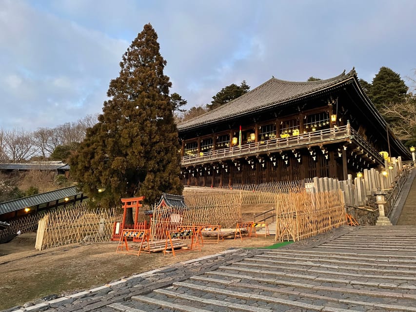 Nara: Hiking the Forest, Big Buddha, Deer, Shrine, Sun Set - Experience and Learning