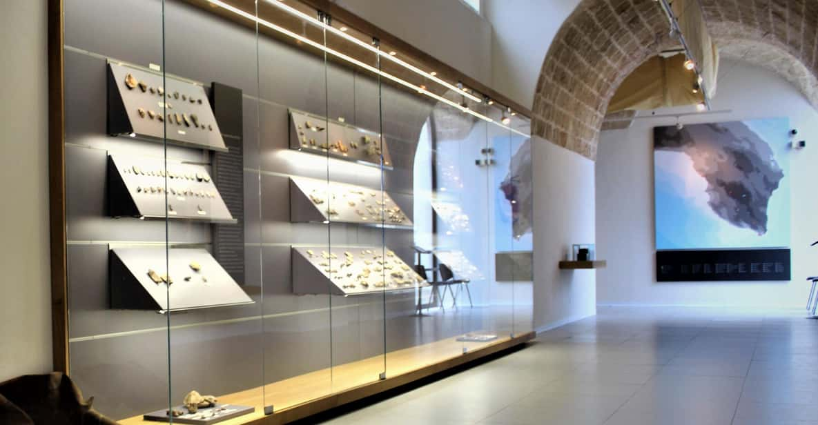 Nardò (Nardò-Lecce): Guided Tour of the Museum of Prehistory - Experience Highlights