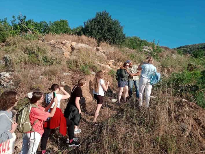 Native Vegetables Farm Tour & Organic Meal - Location and Setting