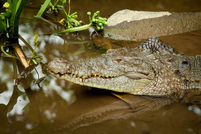 Natura Eco Park Costa Rica - Plus Admission, Wildlife Sanctuary - Tour Highlights and Experiences