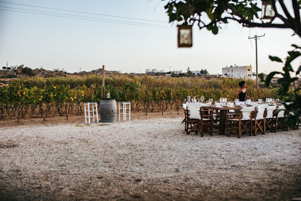 Naxos: Full Moon Dinner and Wine Tasting in a Vineyard - Vineyard Details