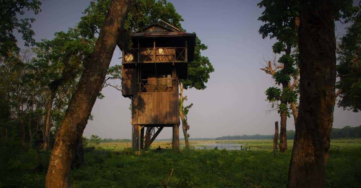 Nepal: Chitwan National Park 3-Day Jungle Tower Stay - Pricing and Reservation Details