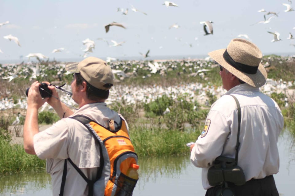 Newburyport: Plum Island Bird Watching Tour W/Transportation - Pricing and Booking