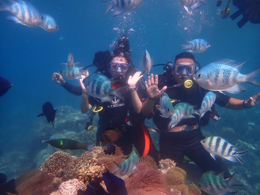 Nha Trang: Scuba Diving Experience for Non-Certified Divers - Detailed Itinerary