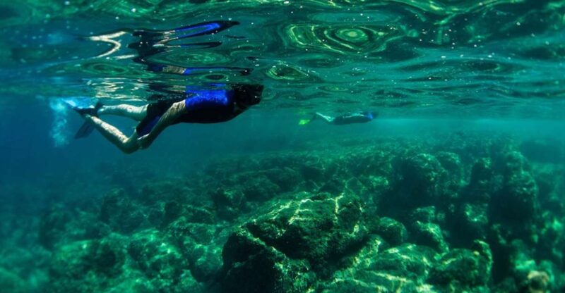 Nice: Speedboat Day Trip With Snorkeling in Villefranche Bay - Itinerary Details