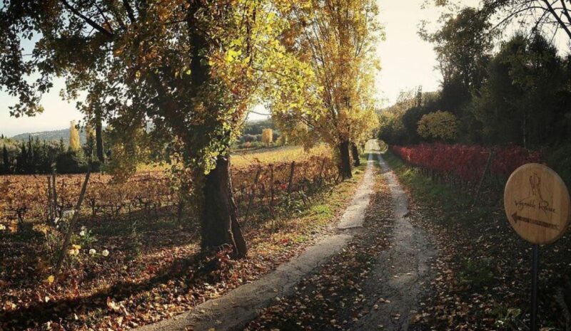 Nice: Wine Tasting Tour - Itinerary and Key Stops