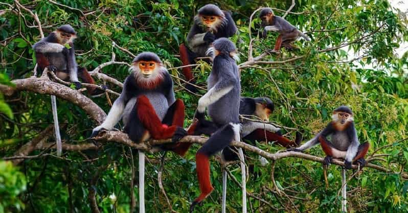 Ninh Binh: Cuc Phuong National Park One Day Small Group Tour - Itinerary Highlights