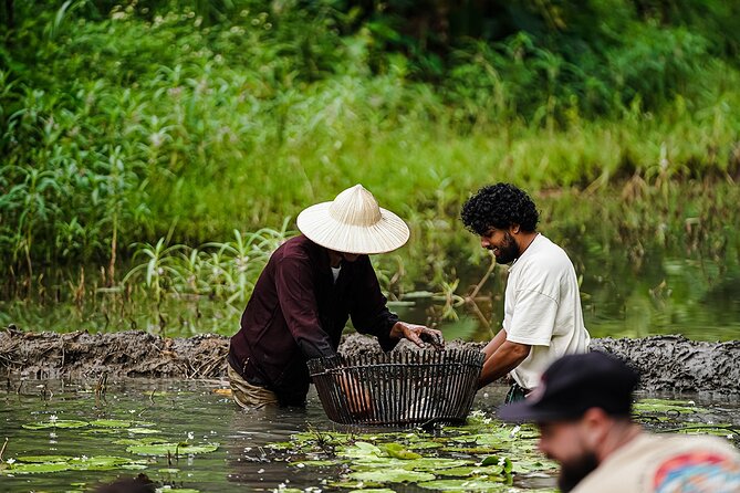 Ninh Binh Eco Group Tour - Buffalo Riding, Rice Planting, Fishing - Unique Activities Offered