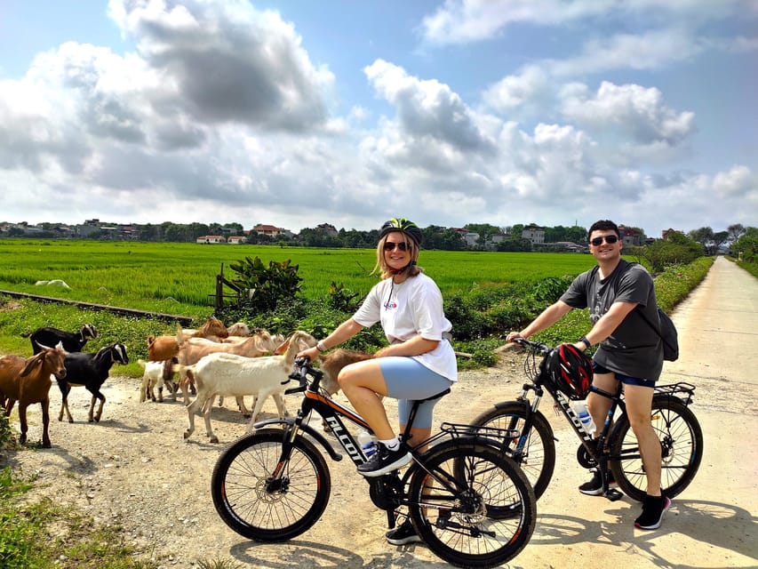 Ninh Binh Full-Day Small Group of 11 Guided Tour From Hanoi - Itinerary Highlights