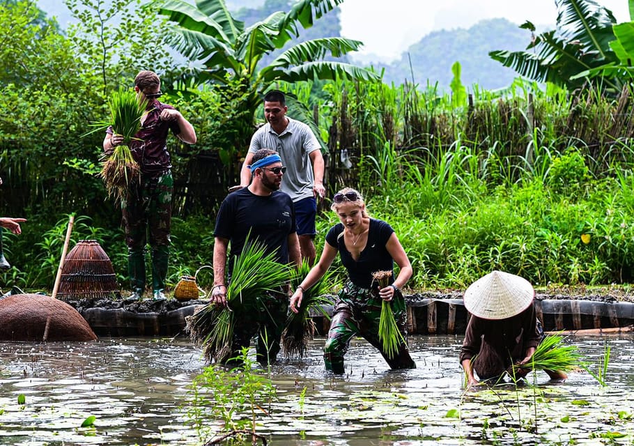 Ninh Binh: Rice Planting and Fishing by Basket Tour - Detailed Itinerary