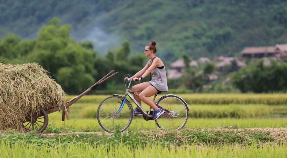 Ninh Binh Small Group From Hanoi: Boat, Bike & Daily Life - Itinerary Highlights