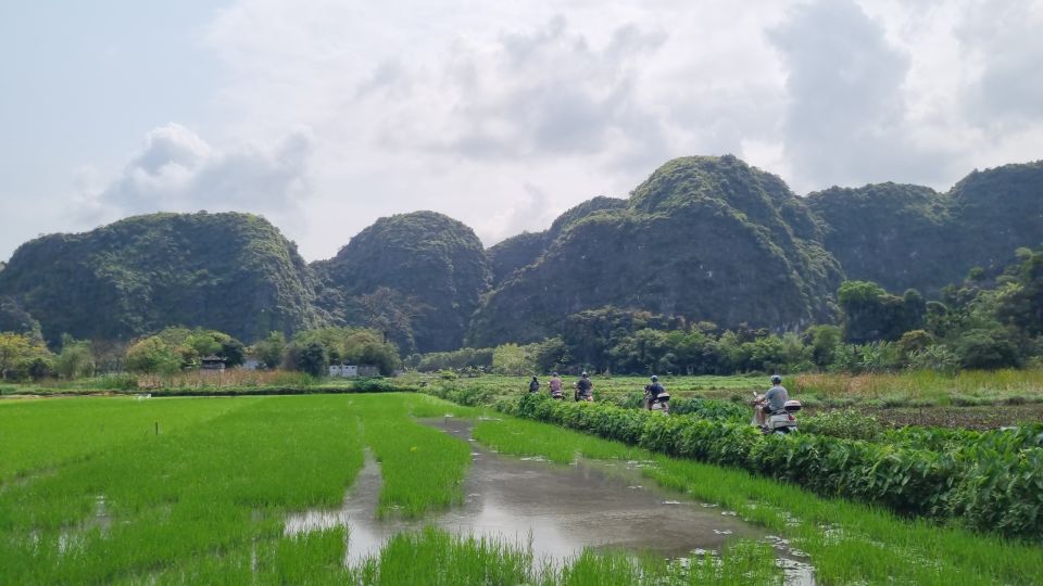 Ninh Binh Vespa Tours From Hanoi: Vespa + Boat + Daily Life - Itinerary Highlights