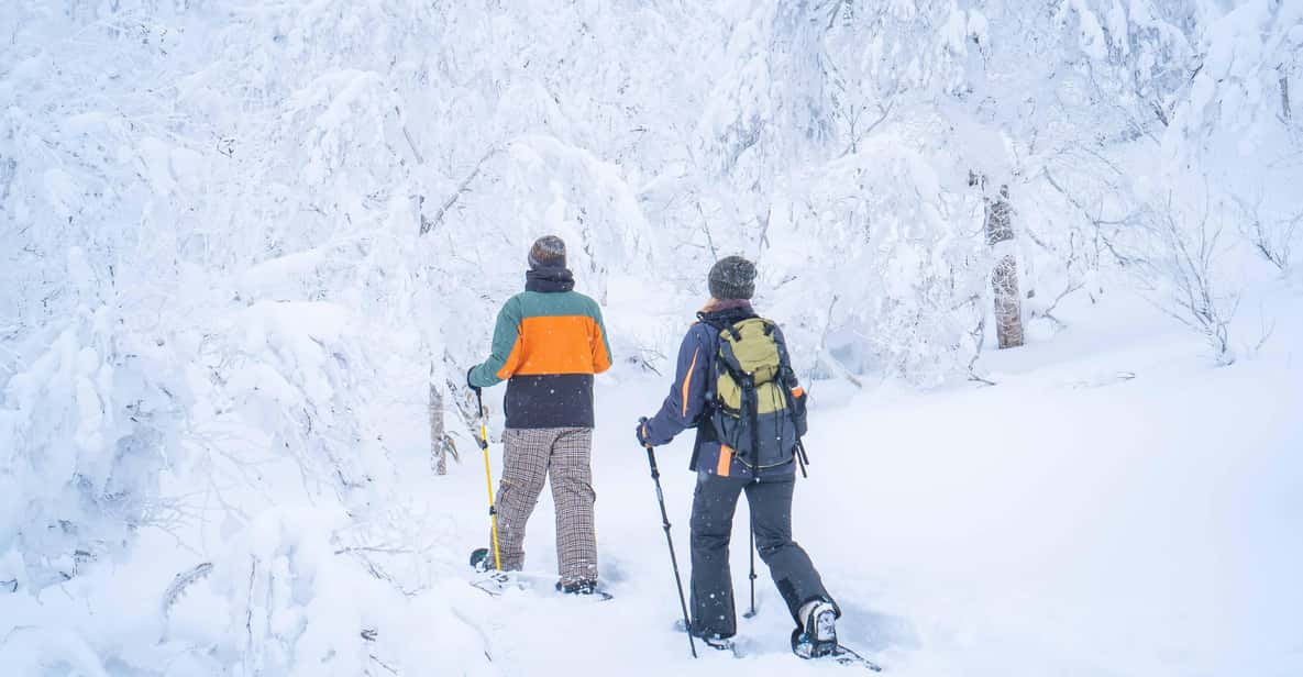 Noboribetsu: Orofure Pass Snowshoeing Tour - Inclusions and Essentials