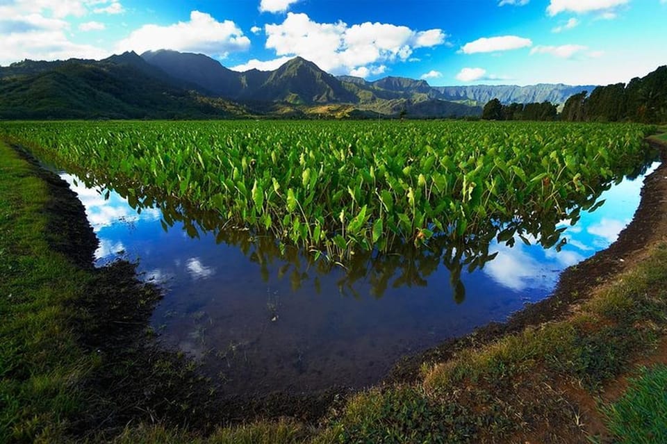 North Shore Kauai Driving Tour: Audio Tour Guide - Important Information and Requirements