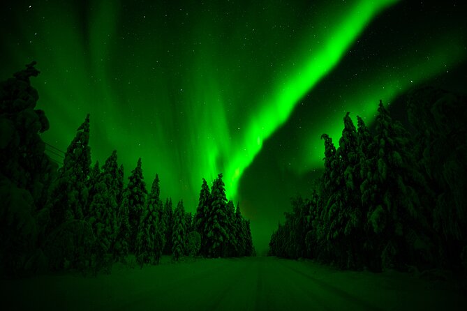 Northern Lights Hunting Adventure in Lapland - Tour Inclusions and Requirements