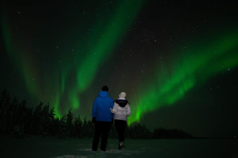 Northern Lights Reindeer Sledge Ride - Booking Information