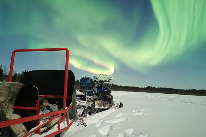 Northern Lights Sledge Ride - Tour Details and Inclusions