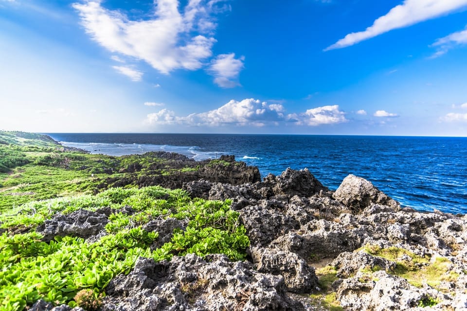 Northern Okinawa National Park Enjoyment Course【C-course】 - Inclusions and Exclusions