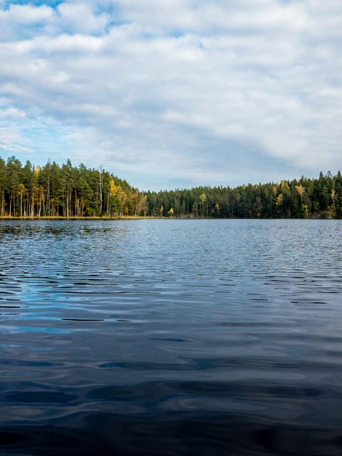 Nuuksio National Park Hiking Experience From Helsinki - Pricing Details