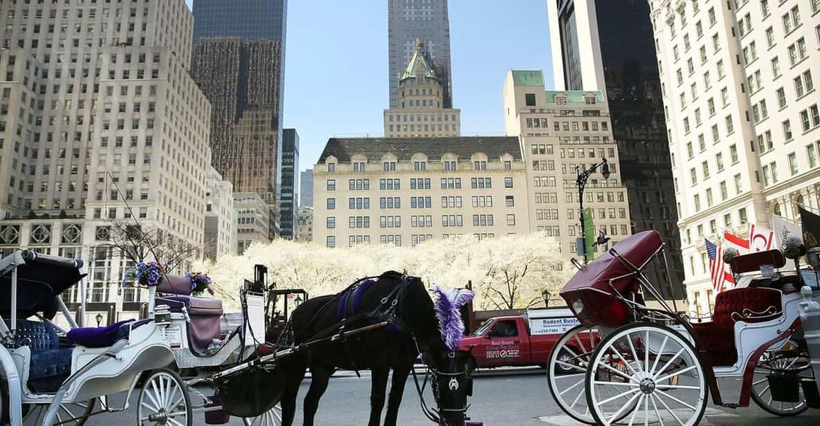 NYC Christmas Lights Carriage Ride - Tour Highlights