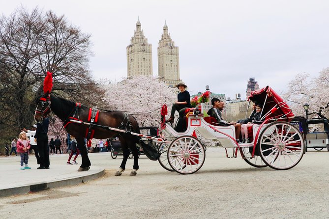 NYC Horse Carriage Ride in Central Park (50 Min. Up to 4 Adults) - Accessibility Features