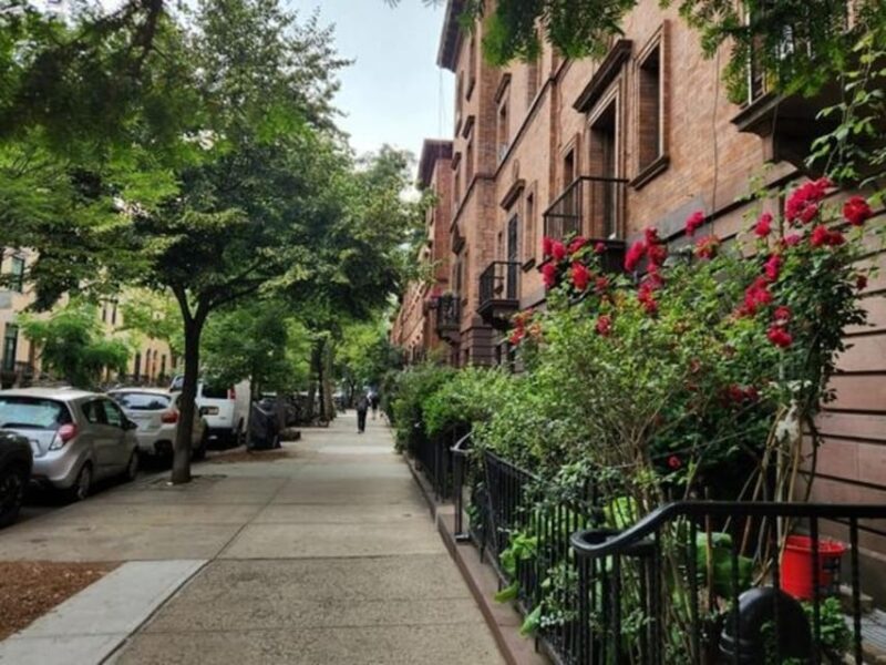 NYC: Soho, Little Italy and Chinatown Private Walking Tour - Discovering Little Italy