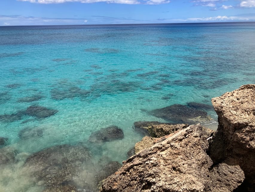 Oahu: Marine Ecology Snorkel Tour - Unique In-Water Classroom Experience