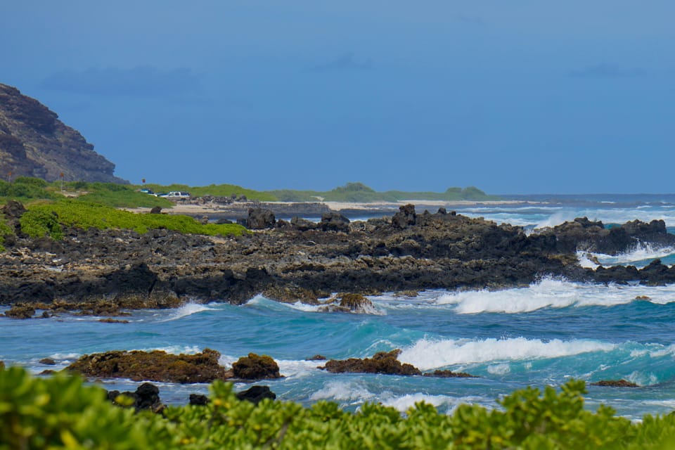 Oahu: Private Circle Island Tour Featuring Manoa Falls Hike - Transportation and Comfort