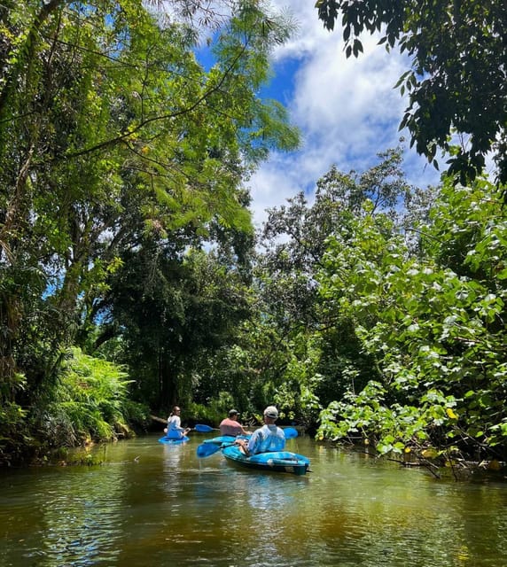 Oahu: Single & Double Kayak 3-Hour River Rental - Kayak Options