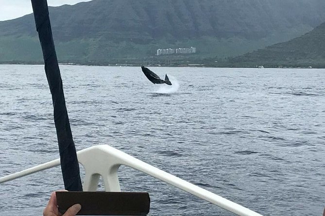 Oahu Whale Watching Excursion - Tour Duration and Timing