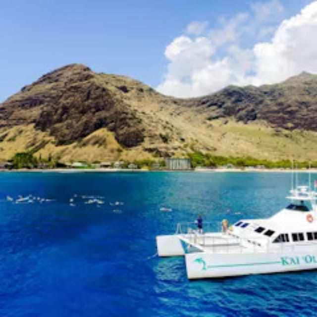 Oahu: Whales Dolphins Snorkeling Cruise With Hawaiian Meal - Highlights of the Experience