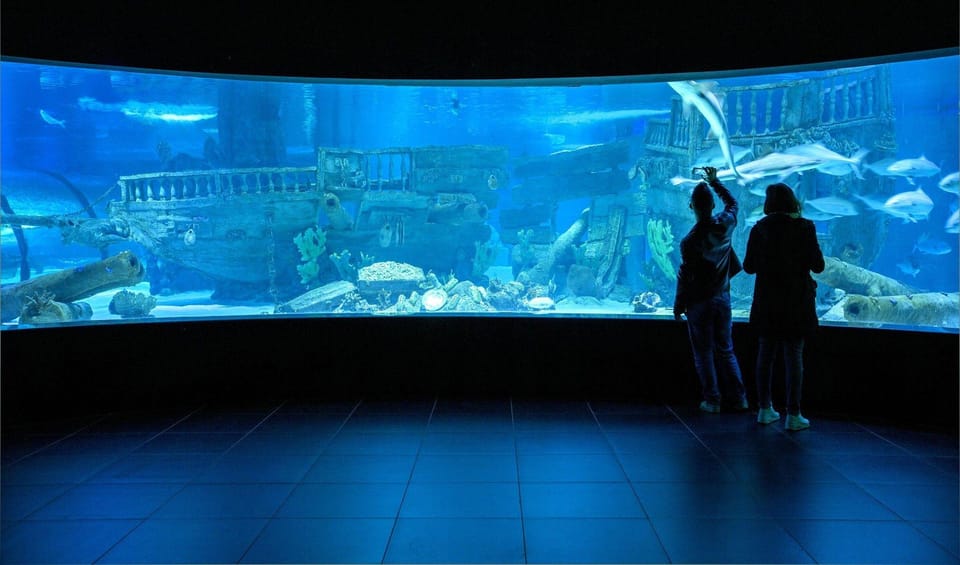 Okurcalar/Alanya: Antalya Aquarium Round-Trip Bus Transfer - Highlights of the Aquarium