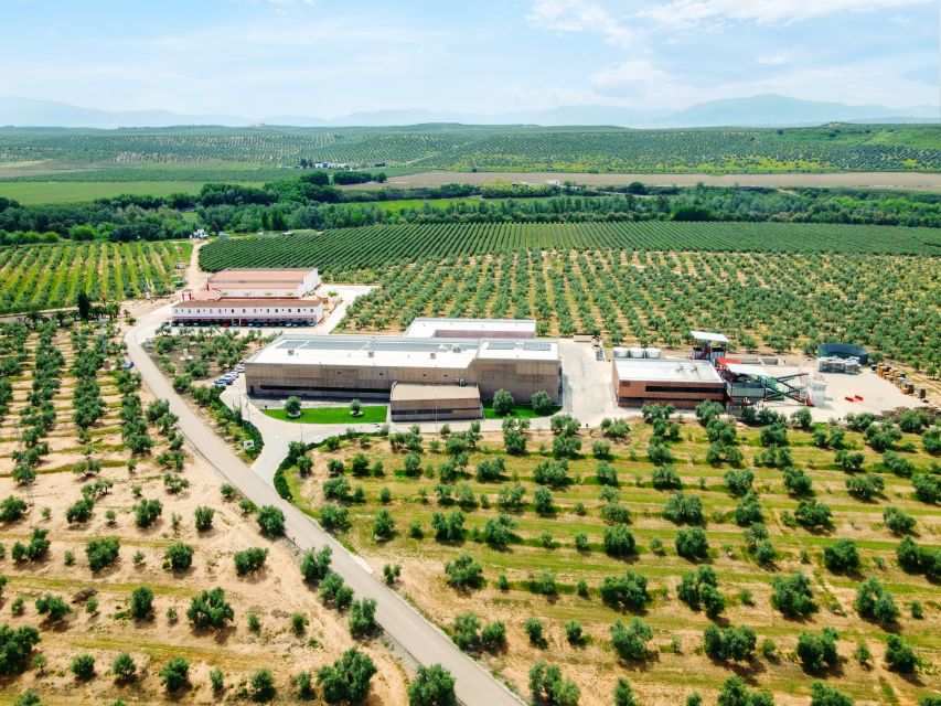 Oleotourism and Monumental Cities - Olive Oil Tourism Experience