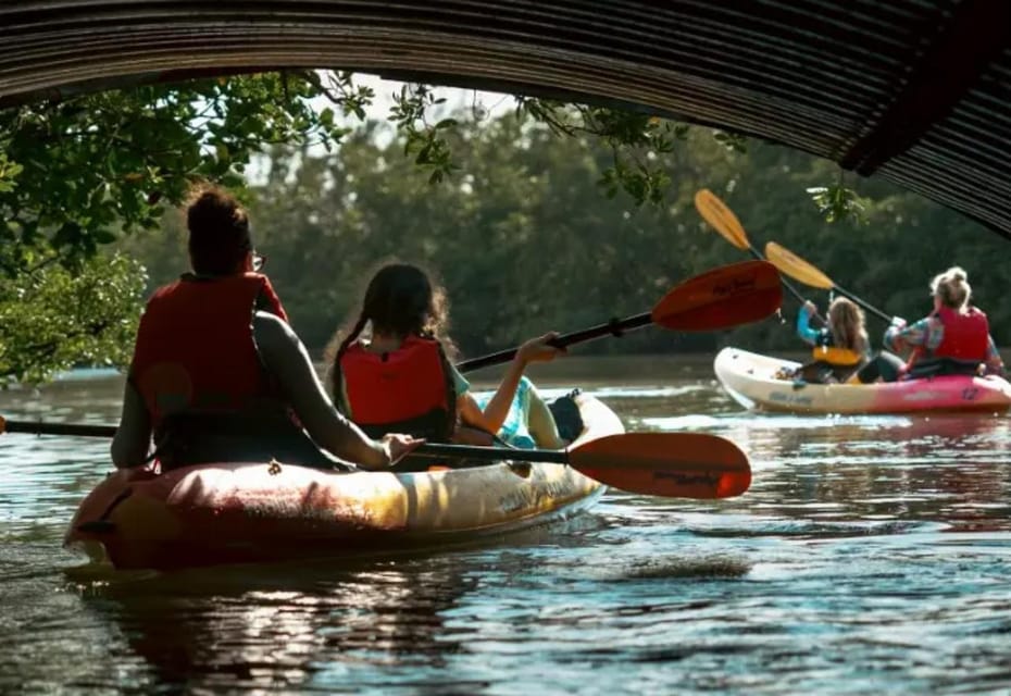 Oleta River State Park: Eco Kayak or Paddleboard Tour - Tour Details