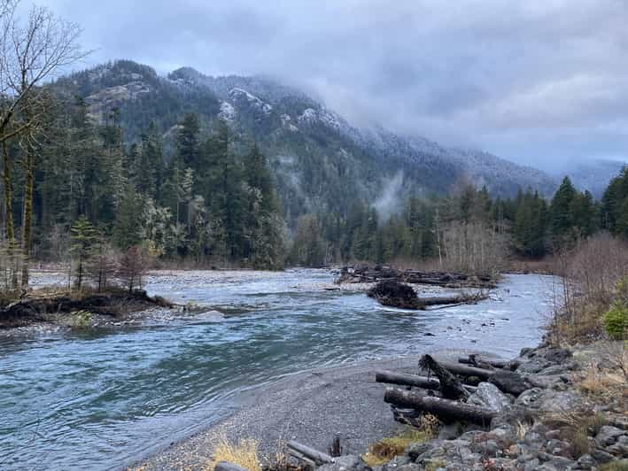 Olympic National Park: Half-Day Tour - Itinerary Highlights