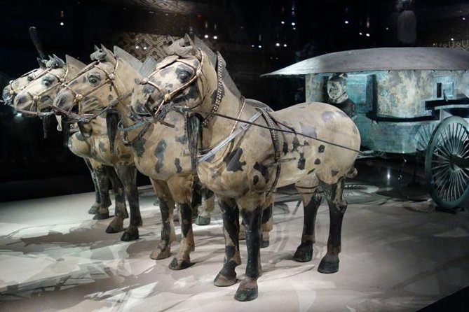 One Day Chengdu Xian Tour by Bullet Train - Inclusions and Exclusions