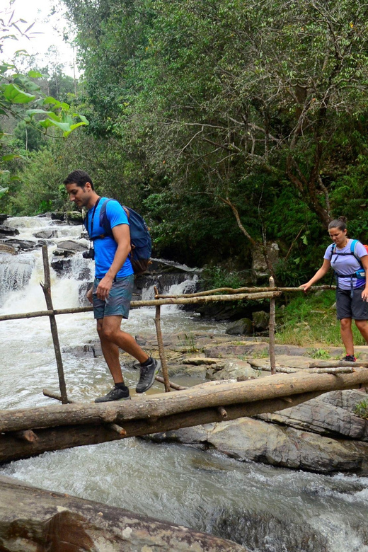 One Day Hiking Tour in Chaing Mai - Pricing and Inclusions