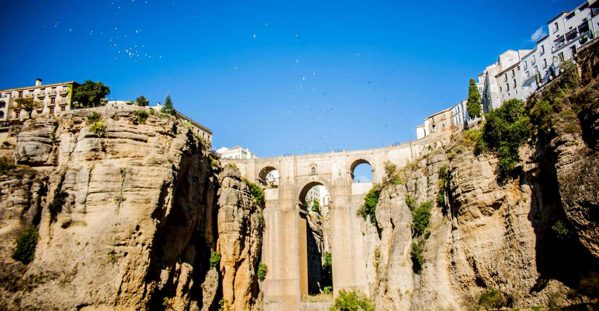 One Day Trip Ronda From Málaga - Highlights of Ronda