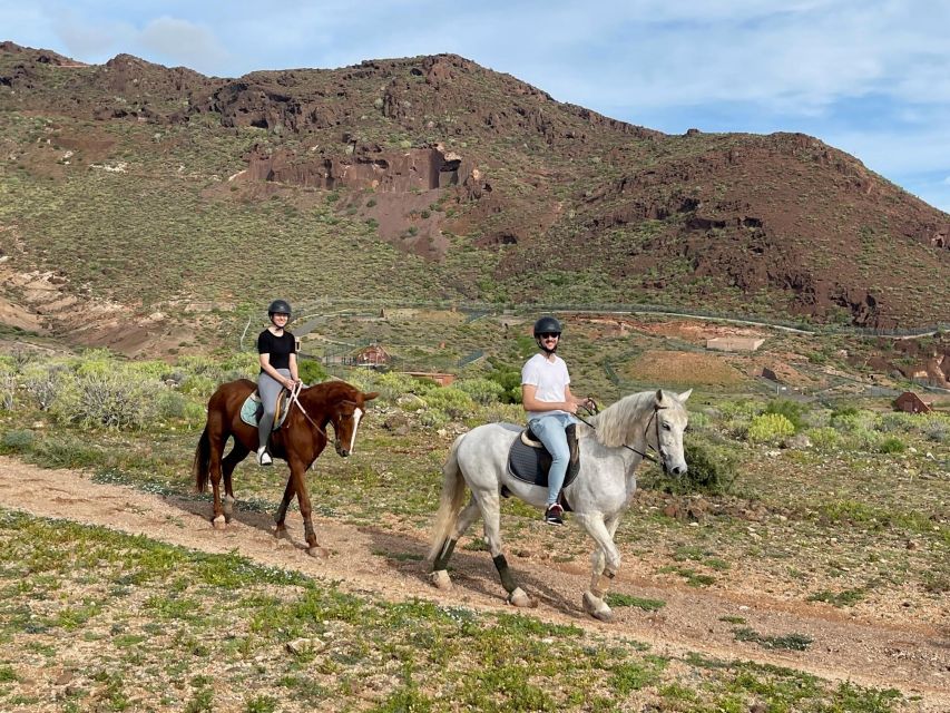 One Hour Horse Riding Tour in Gran Canaria - Booking Information